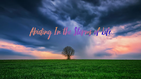 Abiding in the Storms of Life Image